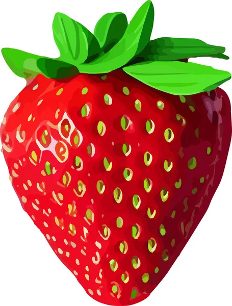 Strawberry Vector Icon Isolated White Background Realistic Sweet Fruit Vector — Stock Vector