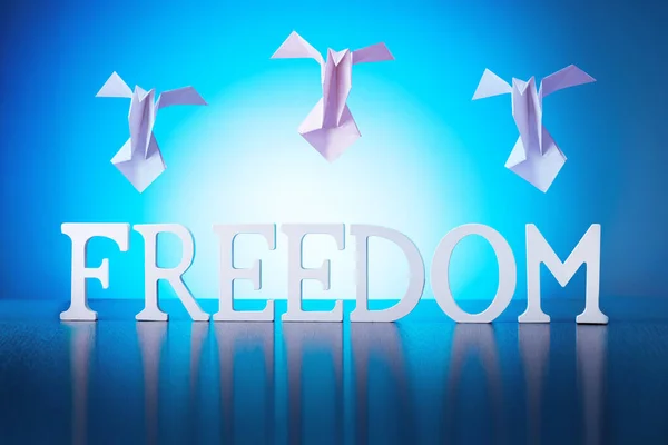 Özgürlük Kelimesi Güvercinler Mavi Gökyüzünde Uçar Özgürlük Demokratik Barış Kavramı — Stok fotoğraf