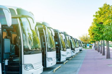 Otobüs durağındaki turist otobüsleri. Seyahat, ulaşım, turizm, yolculuk konsepti.