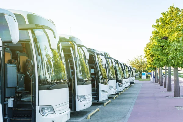 Otobüs durağındaki turist otobüsleri. Seyahat, ulaşım, turizm, yolculuk konsepti.