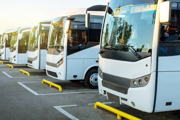 Güneş doğarken otoparkta turist beyaz otobüsleri. Yaz Otomobil Turizmi.