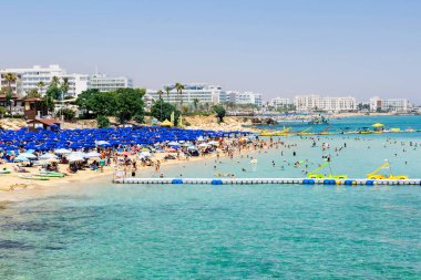 Kıbrıs adasının güzel manzaralı plajı - Protaras 'taki incir ağacı koy. Kıbrıs 'ta yaz tatili. 