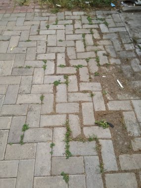 Kirli ve pis zemin, yukarıdan çekim açısı olan bir bahçenin zeminini kapatıyor.