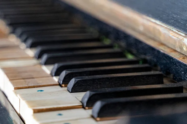 side view of piano, keyboard piano, instrument musical instrument.