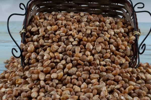 Roasted corn nuts in a basket wooden background