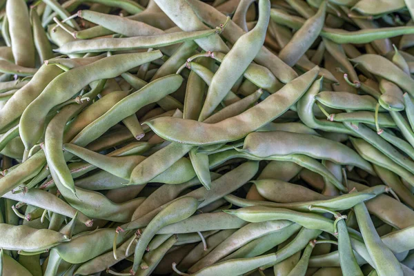 Green Beans Background,green beans for winter preperation.