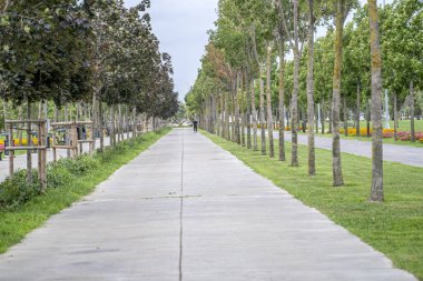 Parkın bisiklet ve yürüyüş yolu. Maltepe sahil parkı yürüyüş yolu. Maltepe, Kucukyali, İstanbul