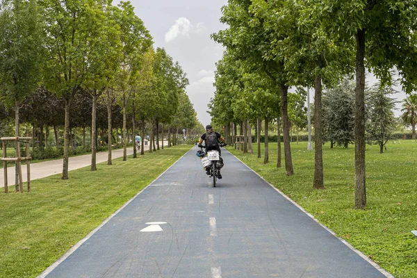 Bike path in the park. A symbol of cycle and attention paths on the pavement