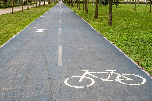 Bike path in the park. A symbol of cycle and attention paths on the pavement