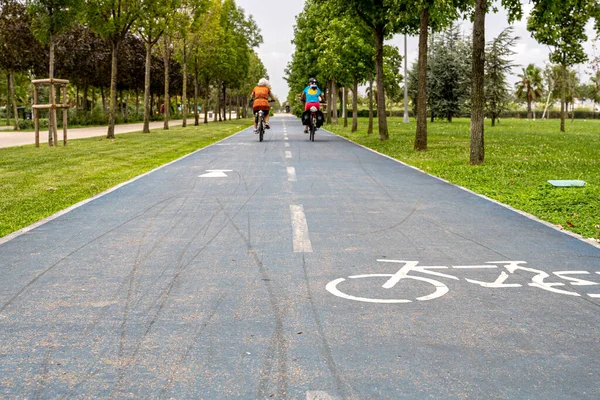 Bike path in the park. A symbol of cycle and attention paths on the pavement