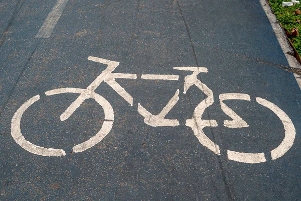 Bike path in the park. A symbol of cycle  paths on the pavement