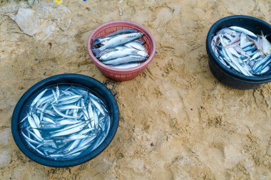 Su dolu eski metal kova, balık atıkları, mavi deniz ve beyaz, üst manzara. yakın plan