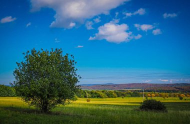güzel doğa, manzara, Idyllic manzara slovakya taze yeşil çayırlar ve muhteşem mavi gökyüzü