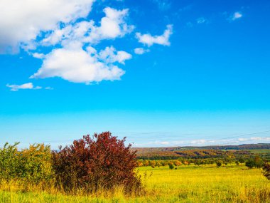 güzel doğa, manzara, Idyllic manzara slovakya taze yeşil çayırlar ve muhteşem mavi gökyüzü
