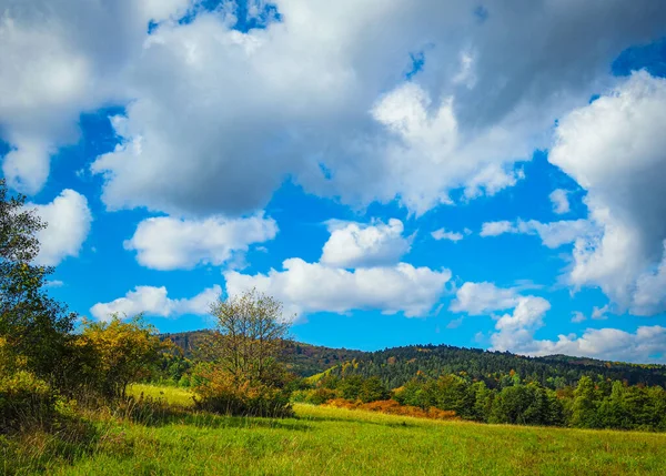 güzel doğa, manzara, Idyllic manzara slovakya taze yeşil çayırlar ve muhteşem mavi gökyüzü