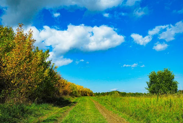 güzel doğa, manzara, Idyllic manzara slovakya taze yeşil çayırlar ve muhteşem mavi gökyüzü