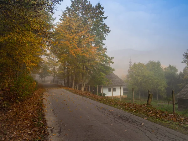 Yumuşak bir odak, sonbaharda ormanda doğa manzaralı rehberli bir yürüyüş yolu.