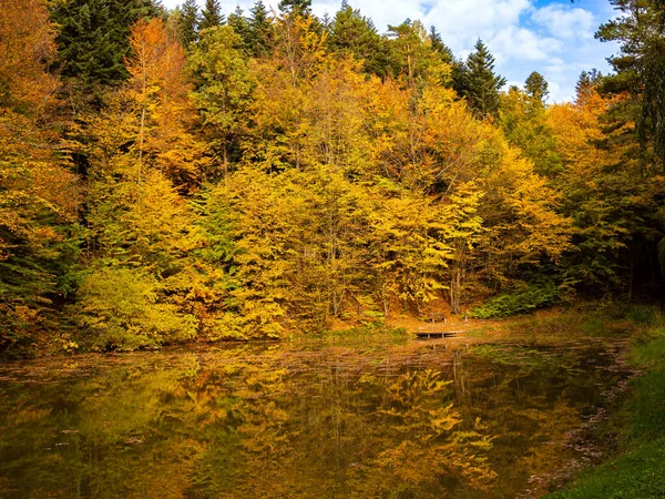 SOFT FOCUS, wonderful autumn landscape of reflected trees in a small lake, a pleasant tourist place for relaxation, meditation and a walk