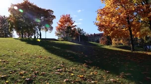 丘の中腹には葉が並んでいます 車を渡す 市内の公園 映画のシーン 高品質のフルHd映像 — ストック動画