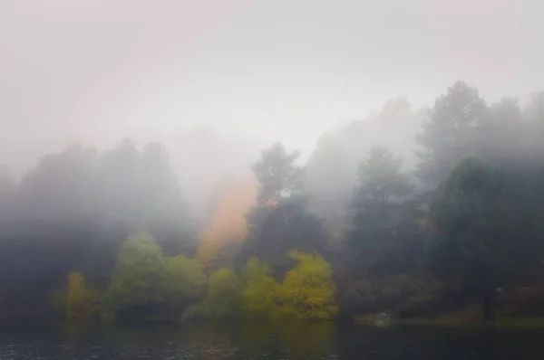 Цветные Деревья Отраженные Озере — стоковое фото