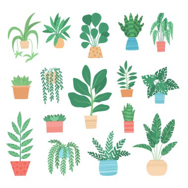 Farklı bir tropik ev bitkisi seti. Ficus, Monstera, protea, pellaea, çeşitli vazolarda sulu. İskandinav konforlu ev dekorasyonu. Düz vektör karikatür çizimi beyaza izole edildi