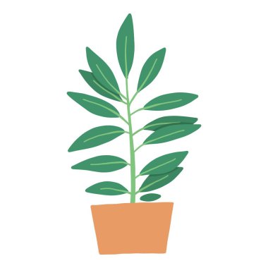 Tropikal ev bitkisi. Ficus, Monstera, protea, pellaea, çeşitli vazolarda sulu. İskandinav konforlu ev dekorasyonu. Düz vektör karikatür çizimi beyaz arkaplanda izole edildi