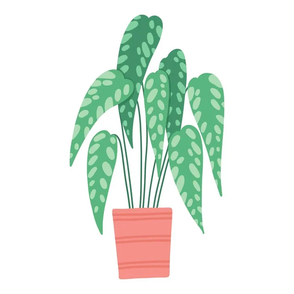 Tropical house plant pot. Ficus, monstera, protea, pellaea, succulent in various pot, vase. Scandinavian cozy home decor. Flat vector cartoon illustration isolated on white background — стоковий вектор