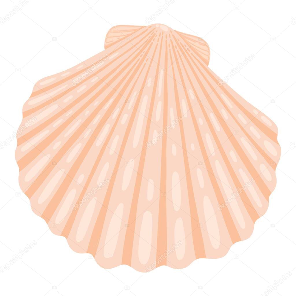 Sea shell, starfish. Underwater mollusk animal. Marine mollusc seashell, scallop, snail, cockleshell, mussel and conches. Vector illustration of shellfish isolated on white background