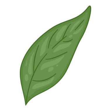 Biber yaprağı ikonu ana hatları, elle çizilmiş vektör. Yeşil baharatlı