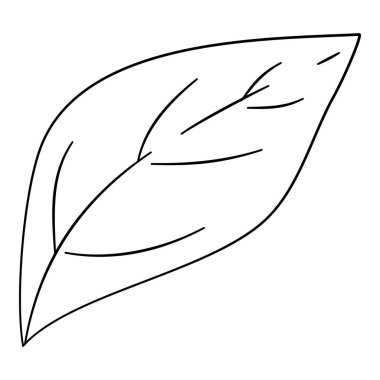 Biber yaprağı ikonu ana hatları, elle çizilmiş vektör. Yeşil baharatlı