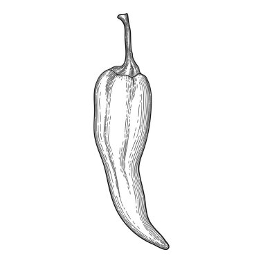 Eko biber ikonu ana hatları, elle çizilmiş vektör. Kırmızı çizgi film