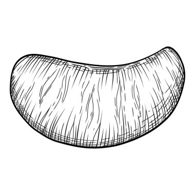 Taze narenciye ikonu ana hatları, elle çizilmiş vektör. Turuncu yiyecek.