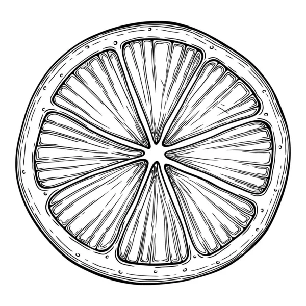 Esboço de ícone de pedaço de citrino, vetor desenhado à mão. Citrinos —  Vetores de Stock