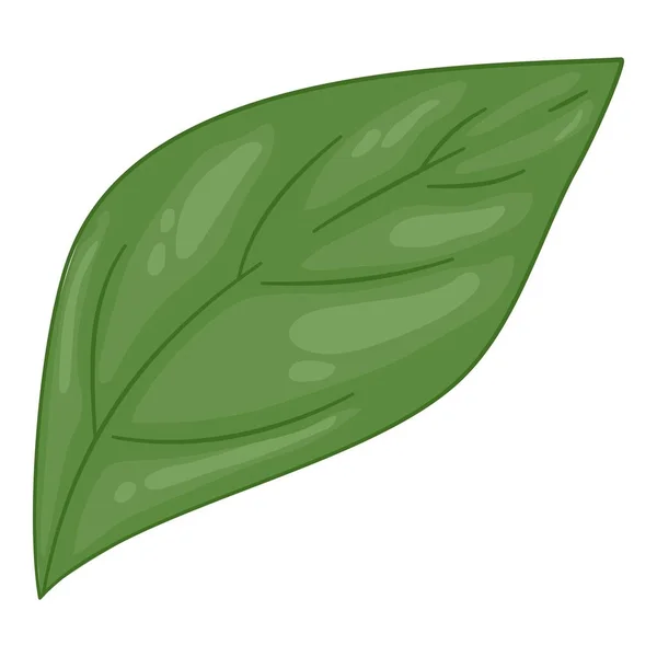 Esquema de la hoja de pimienta, vector dibujado a mano. Verde picante — Vector de stock