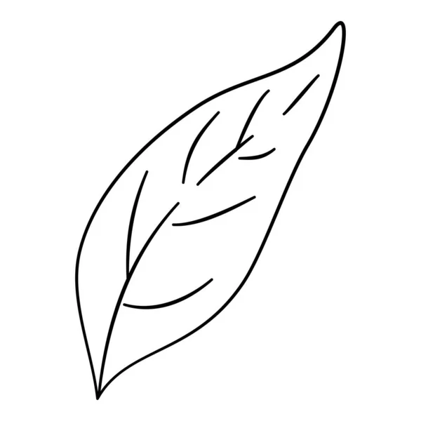 Kontur ikony liści pieprzu, ręcznie rysowany wektor. Zielone pikantne — Wektor stockowy