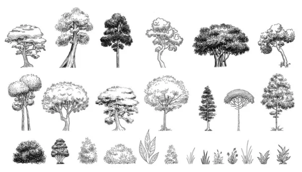 Plant Tree Forest Icon Set Outline Hand Drawn Vector Garden — Stockvektor