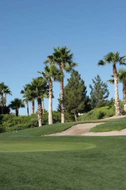 Las Vegas 'ta bir mahalle golf sahası.