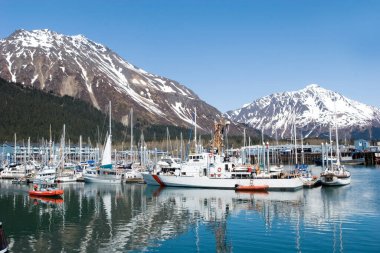 Alaska marinasında, Seward 'da tekneler