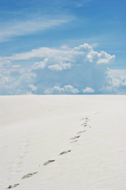 Beyaz kum tepelerinde ayak izleri