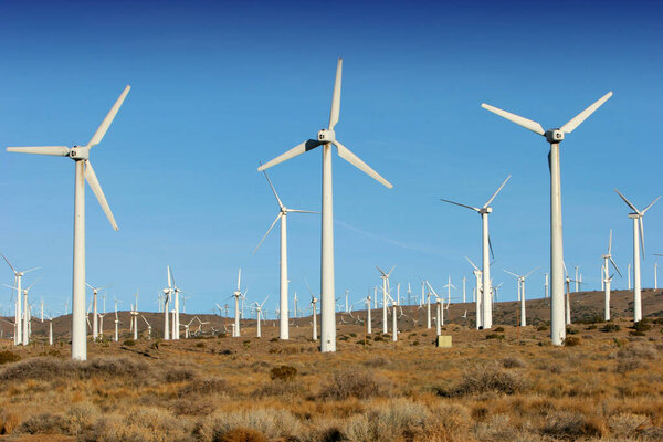 Wind turbines for alternative energy