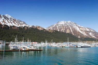 Alaska 'da balıkçı tekneleri