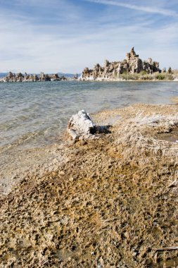 Tüf oluşumları Mono Gölü