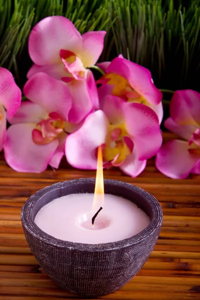 Kuurkaars Orchidee Bamboe Mat — Stockfoto