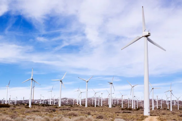 Wind Turbine Farm Generating Clean Energy — Stock Photo, Image