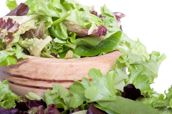 Ekologisk Våren Mix Gröna Blad För Sallad — Stockfoto