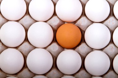 Beyaz yumurtalar içinde kahverengi yumurta.
