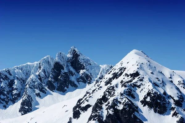 Picos Nevados Alaska —  Fotos de Stock