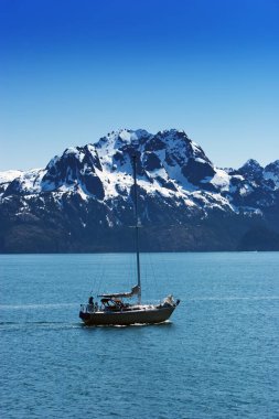 Suyun kenarındaki Karlı Alaska Dağları