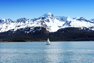 Suyun kenarındaki Karlı Alaska Dağları