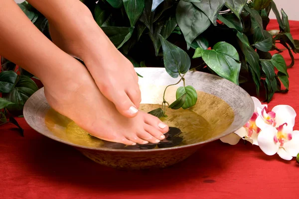 Kvinnans Pedikerade Fötter Skål Med Vatten — Stockfoto